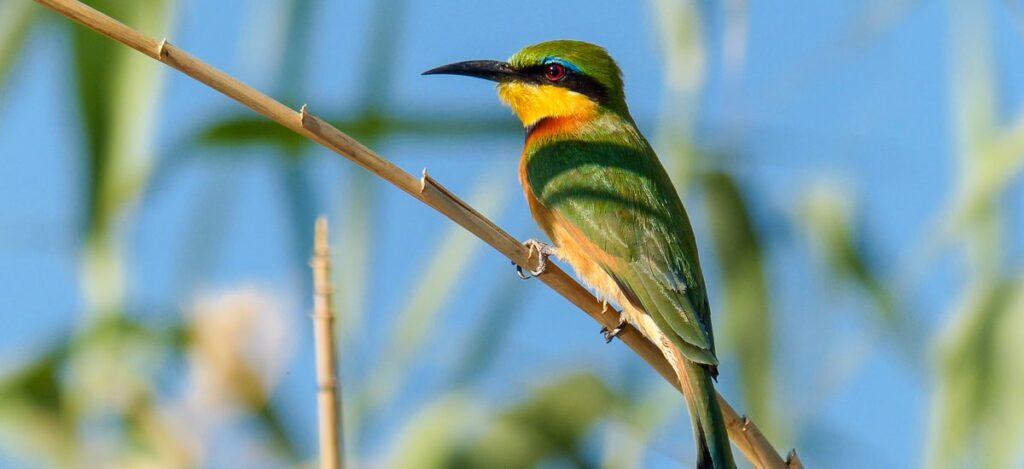 Natürlich mit Ruhe – Wildnis, Wüste und Wasserfälle erleben