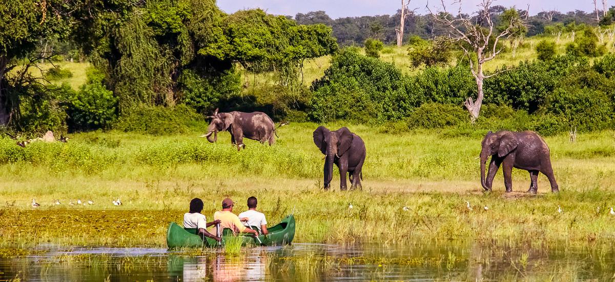 Kanufahrt auf dem Chobe