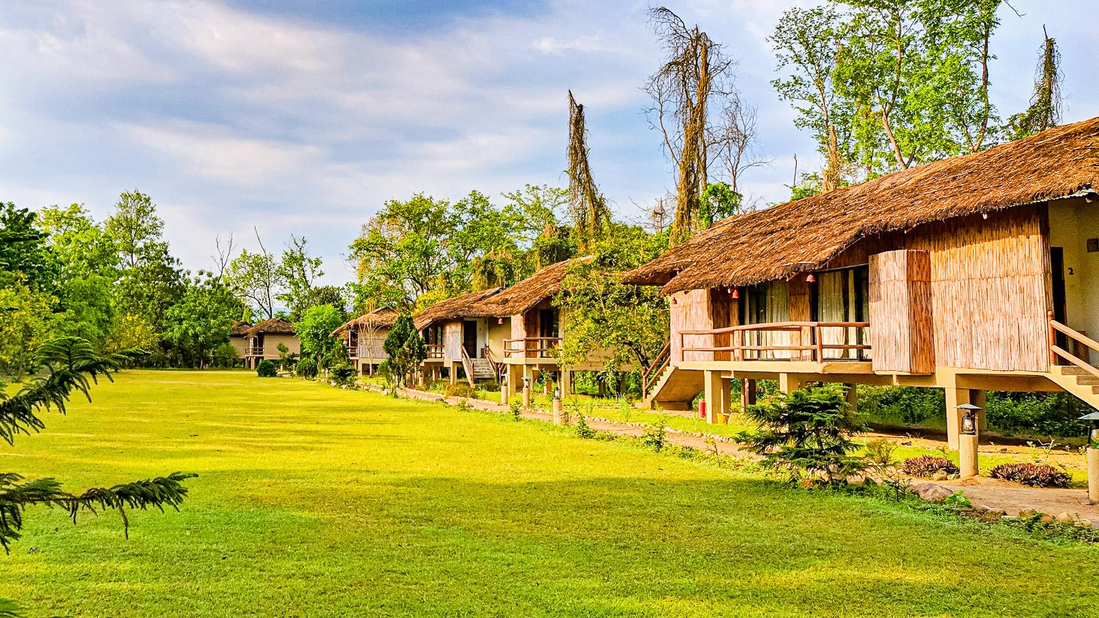 Temple Tiger Jungle Lodge