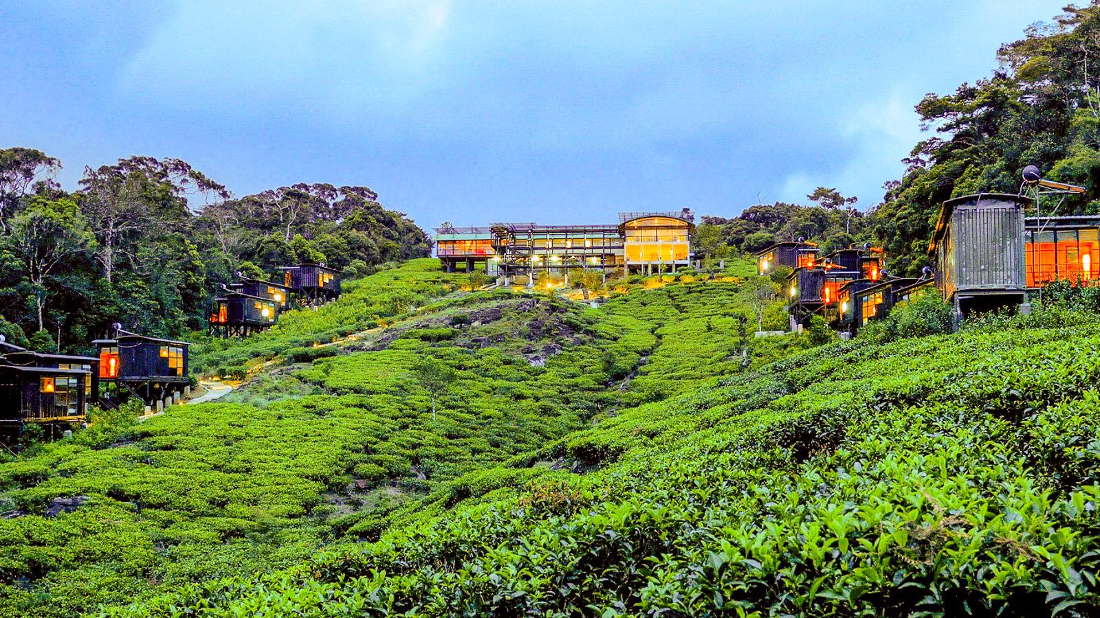 Rainforest Eco Lodge