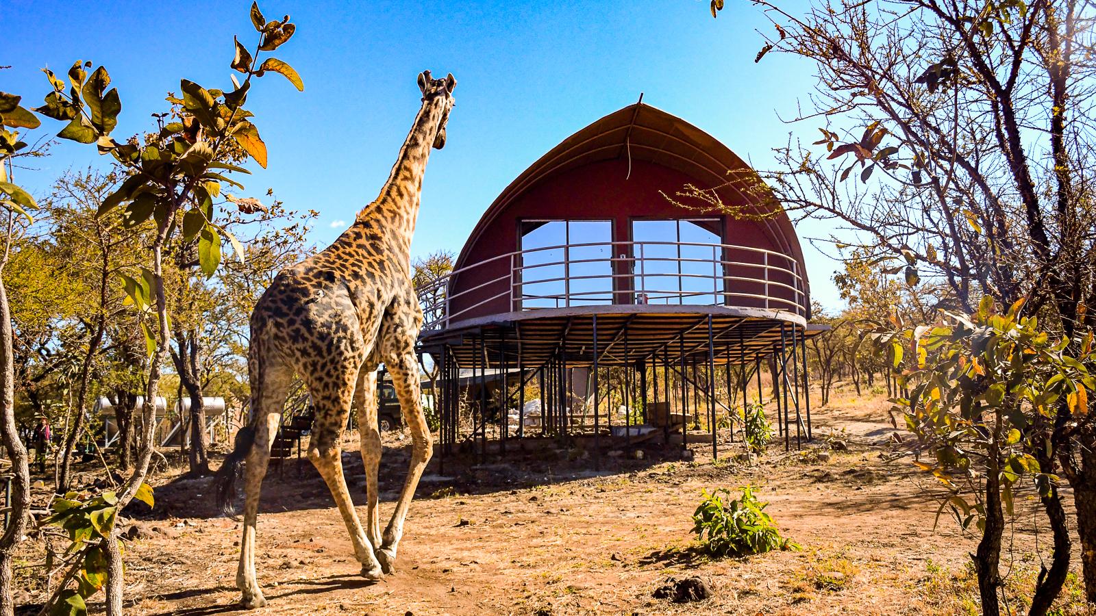 Ngorongoro Safari Lodge