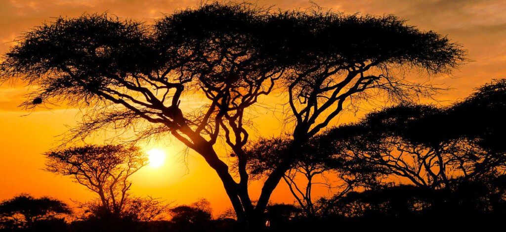 Natürlich erleben – Von Dar es Salaam zu den Udzungwa-Bergen