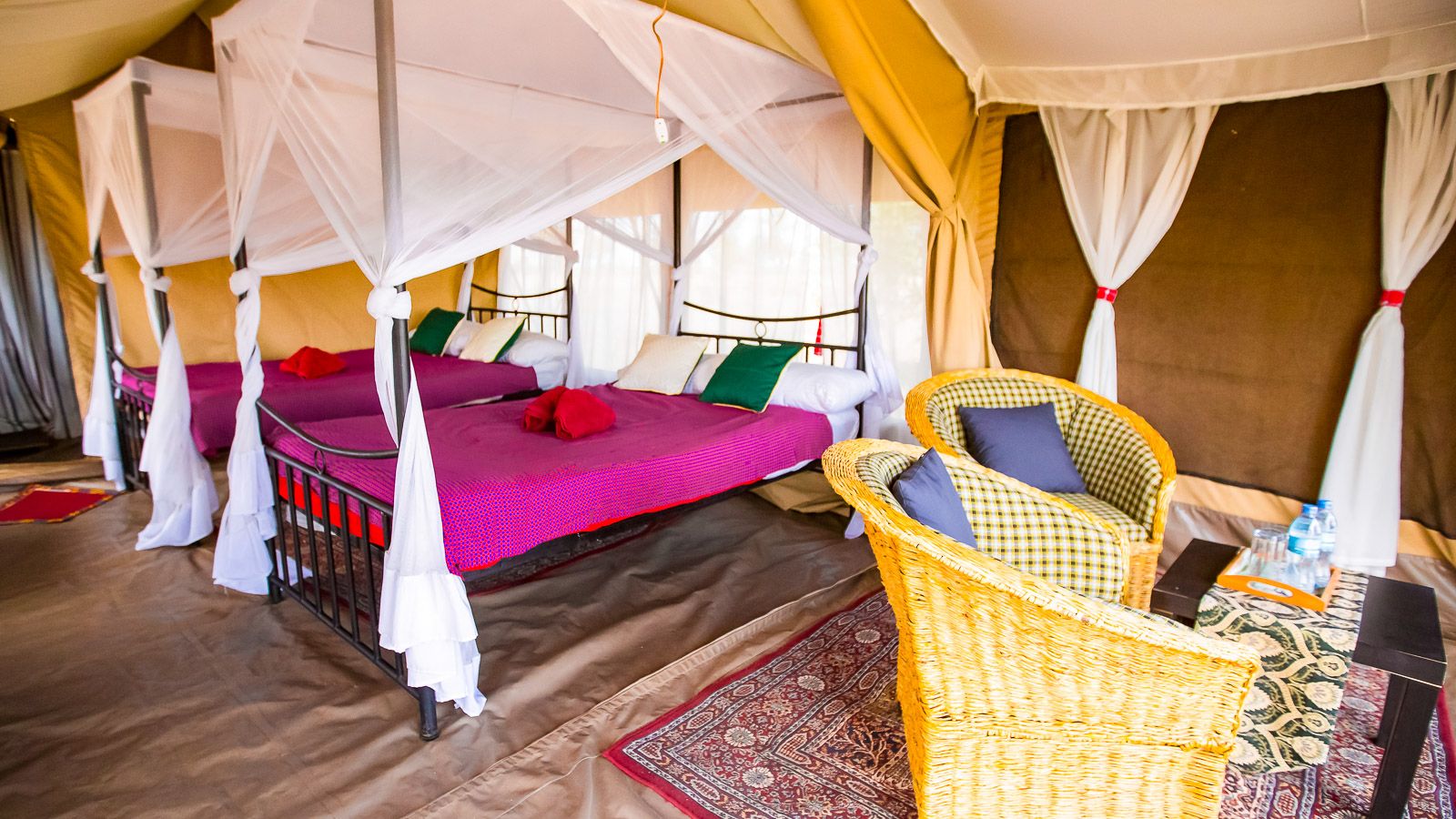 Serengeti Wildebeest Camp
