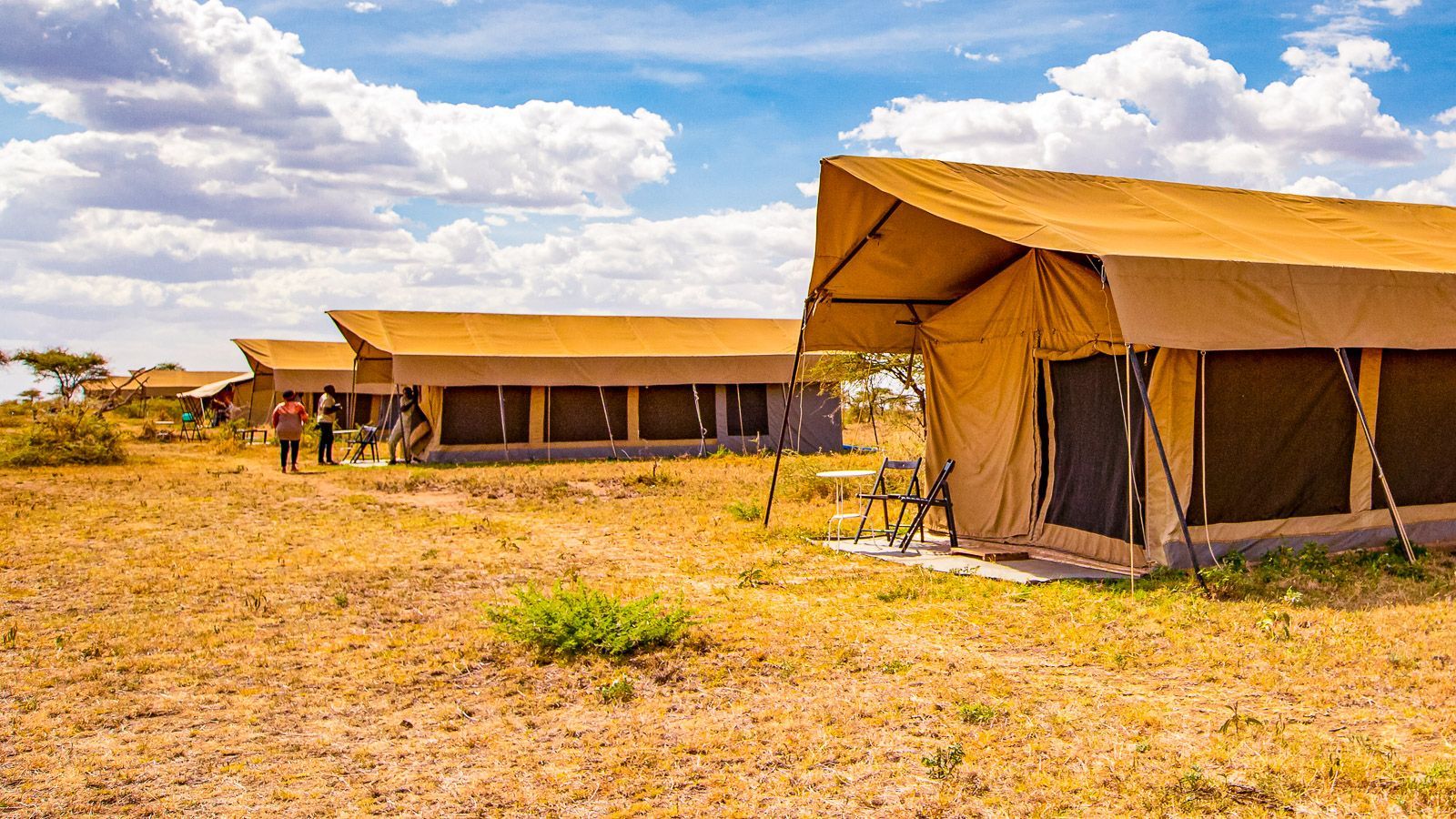 Serengeti Wildebeest Camp