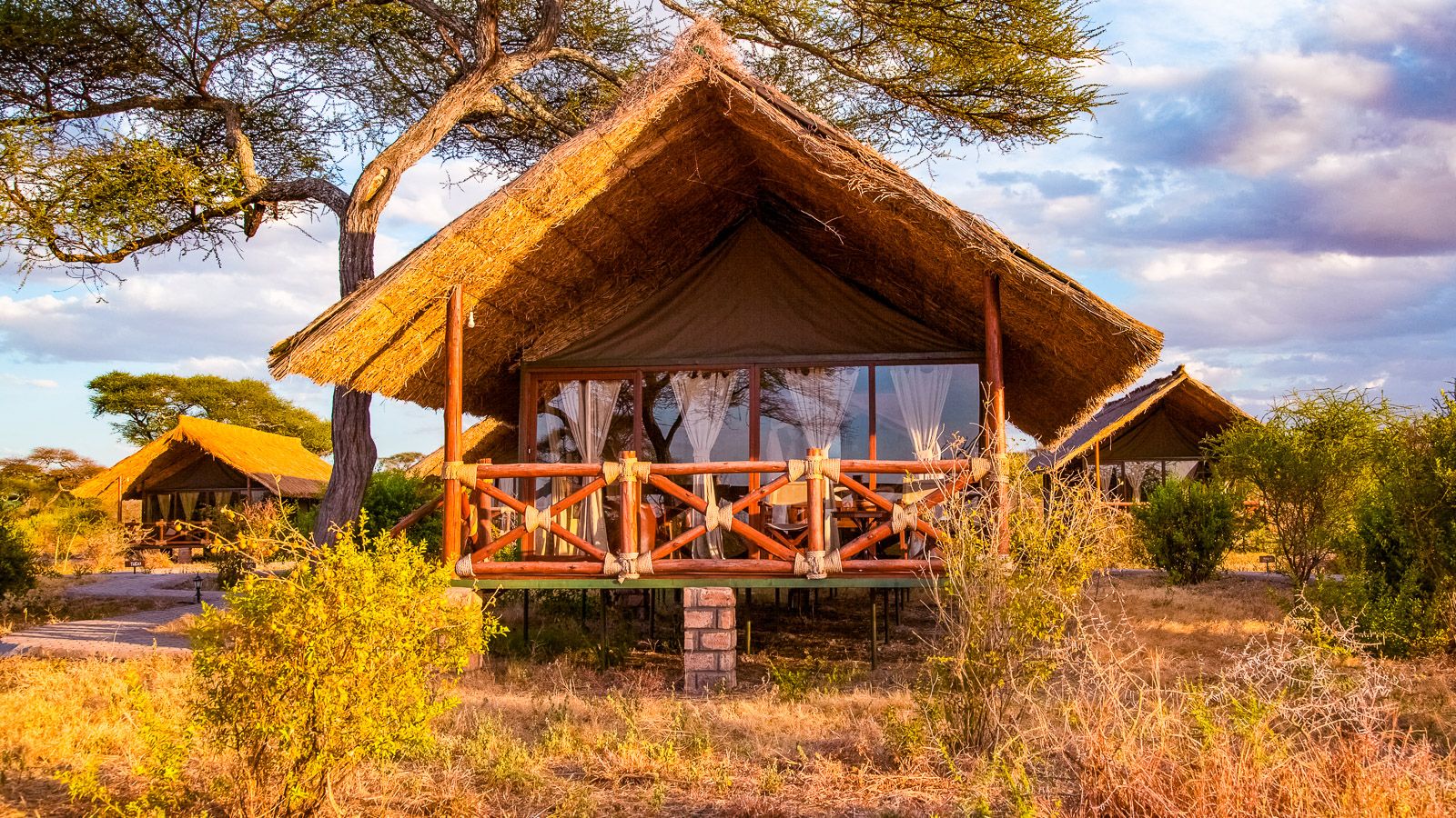 Tarangire Simba Lodge