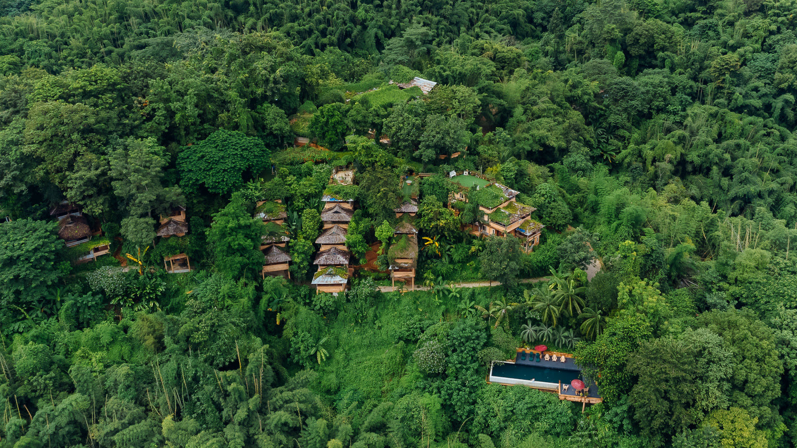 Phu Chaisai Mountain Resort