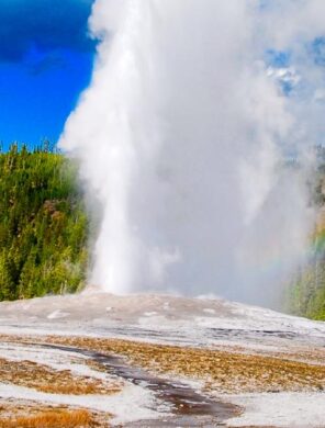 Geysir im Yellowstone Nationalpark