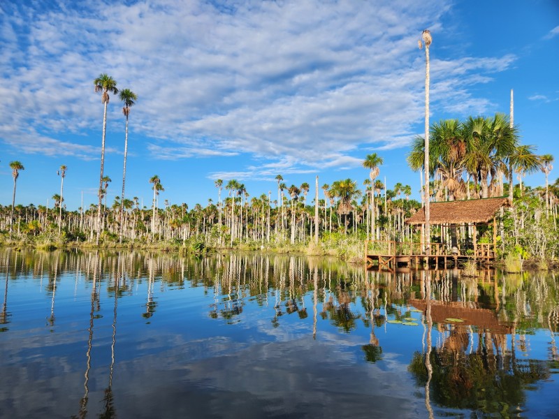 Sandoval-See - Puerto Maldonado - Peru