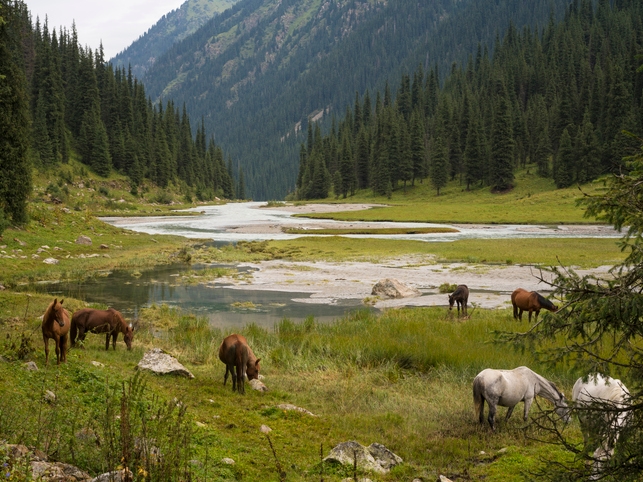 Ala-Kul-See - Karakol - Kirgistan