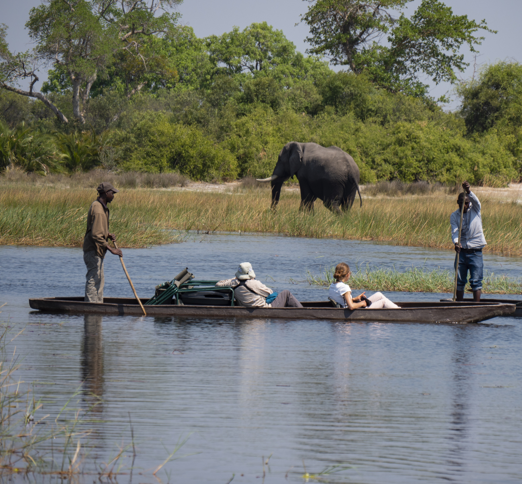 Mokoro-Boot auf Safari im Okavango-Delta in Botswana