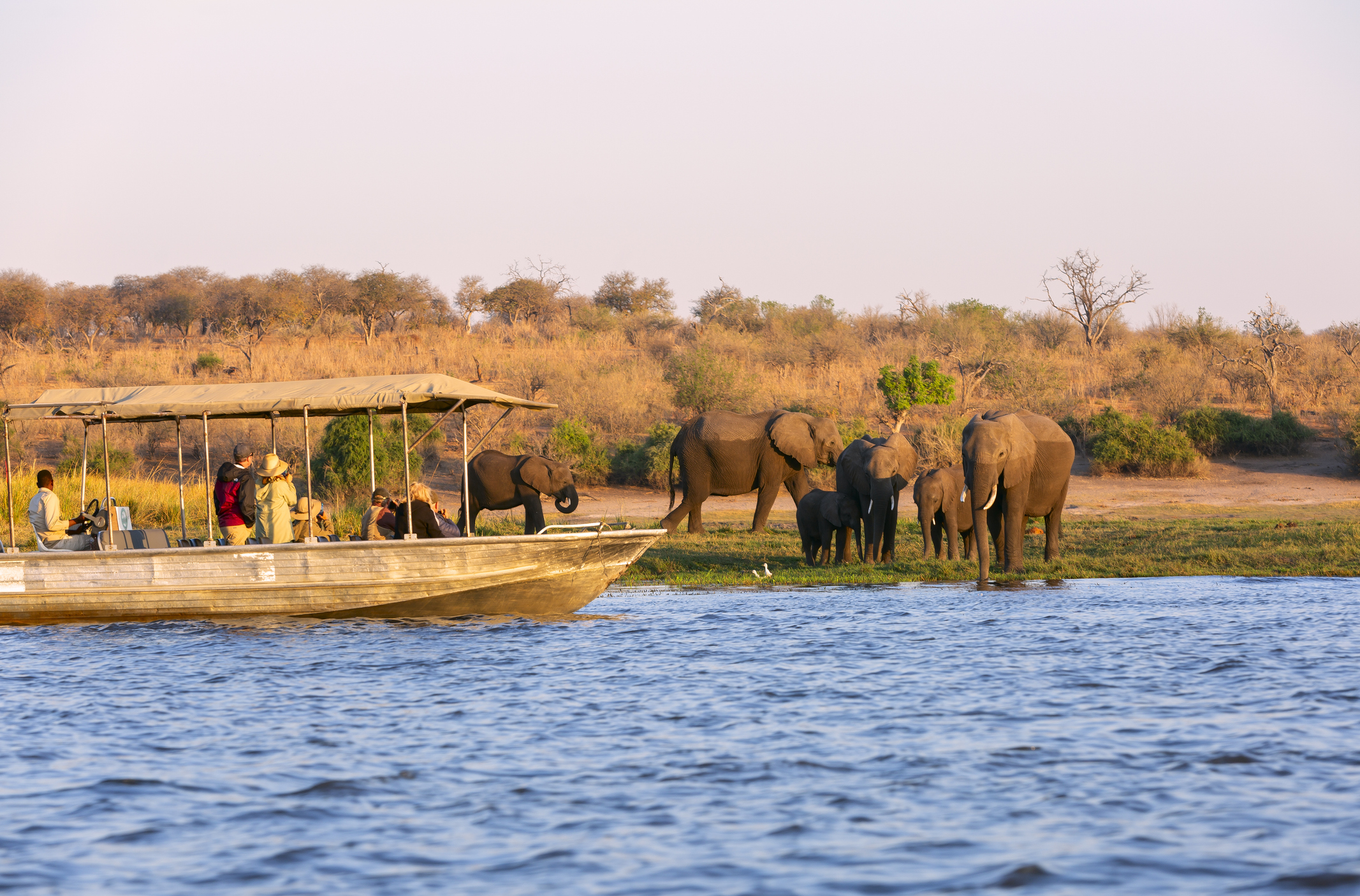 Bootssafari in Afrika auf dem bestehenden Titelbild