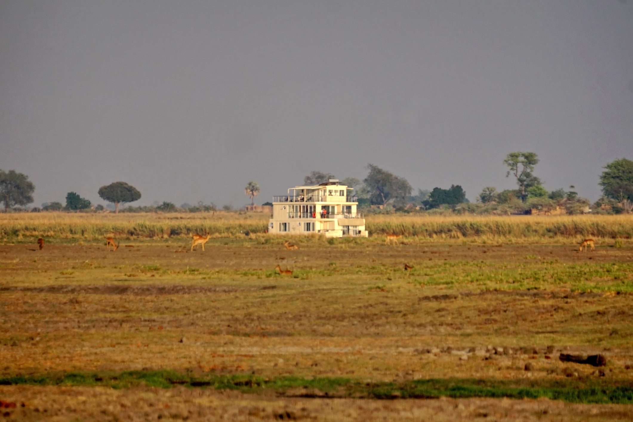 Hausboot-Safari auf dem Chobe River mit Elefanten am Ufer