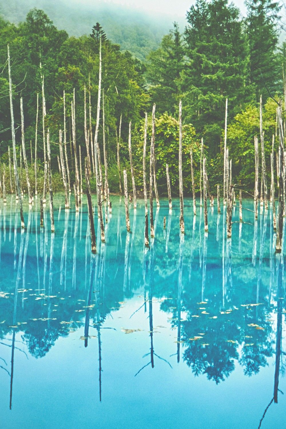 Pond bei Biei, Hokkaido