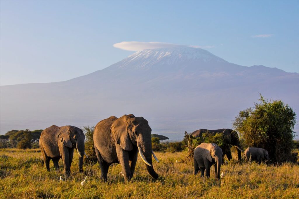 WILDNIS & MEERESIDYLLE