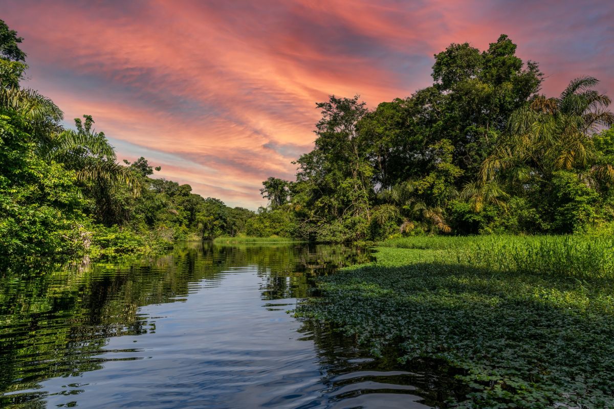 Tortuguero NP