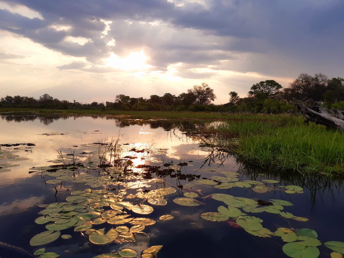 Mokoro-Fahrt im Okavango-Delta