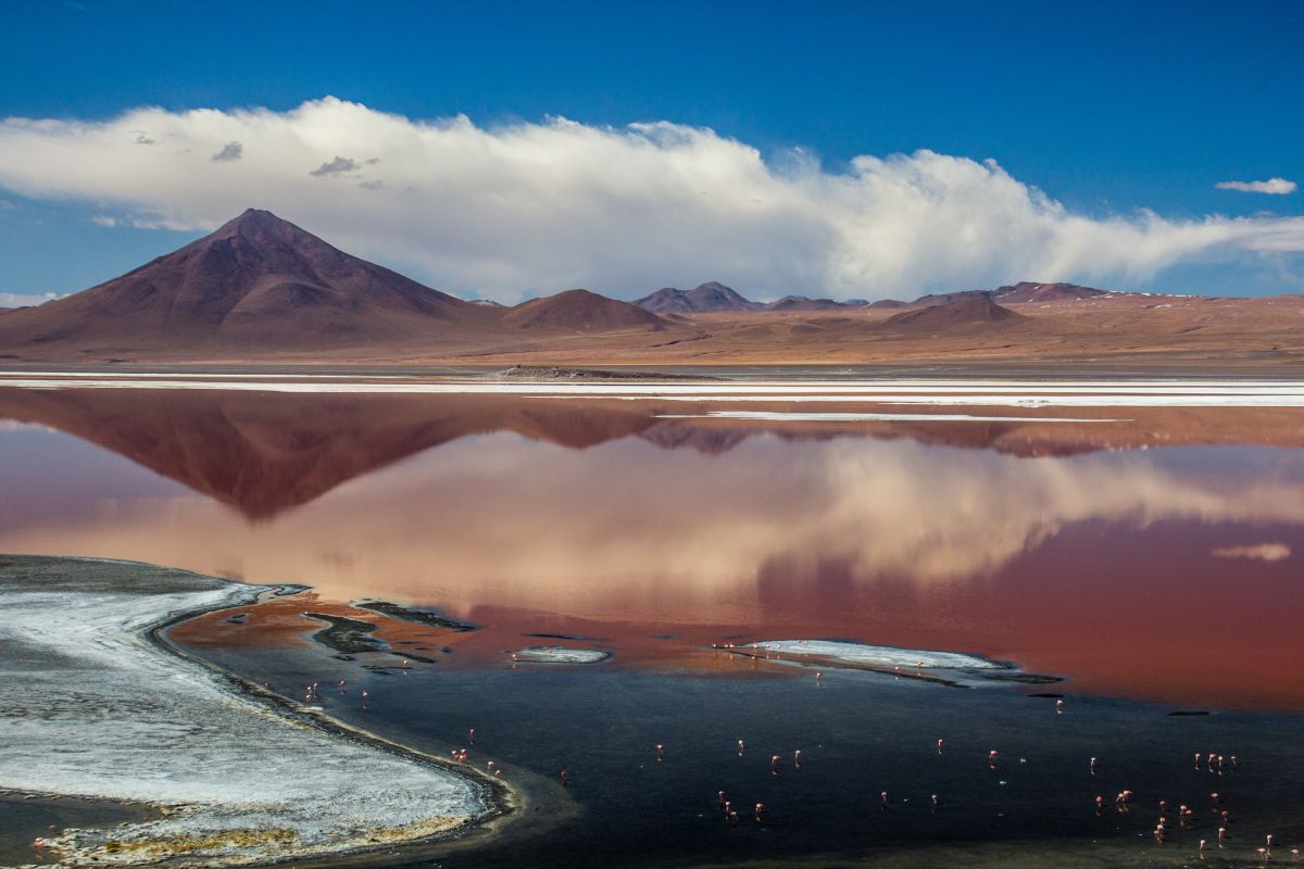 Laguna Colorada in der Atacama-Wüste