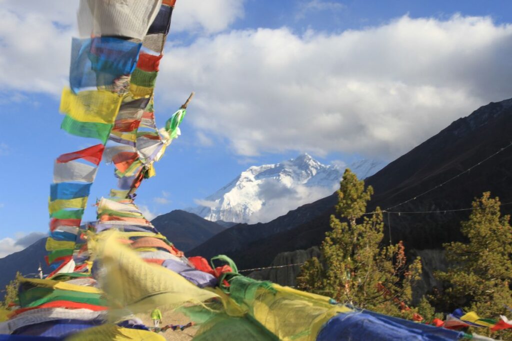 HIMALAYASEELE