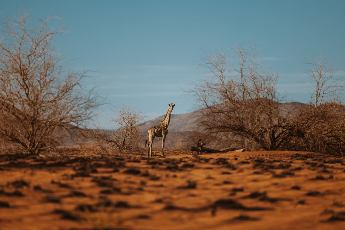 Natururlaub in Europa im November
