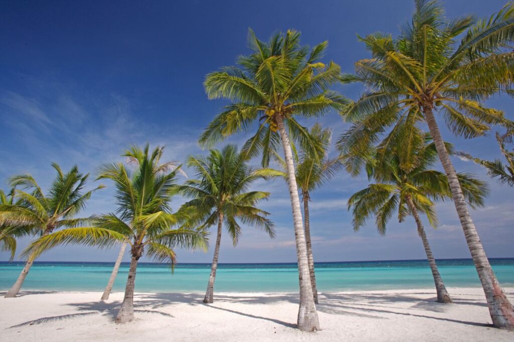 Weißer Sandstrand von Bohol
