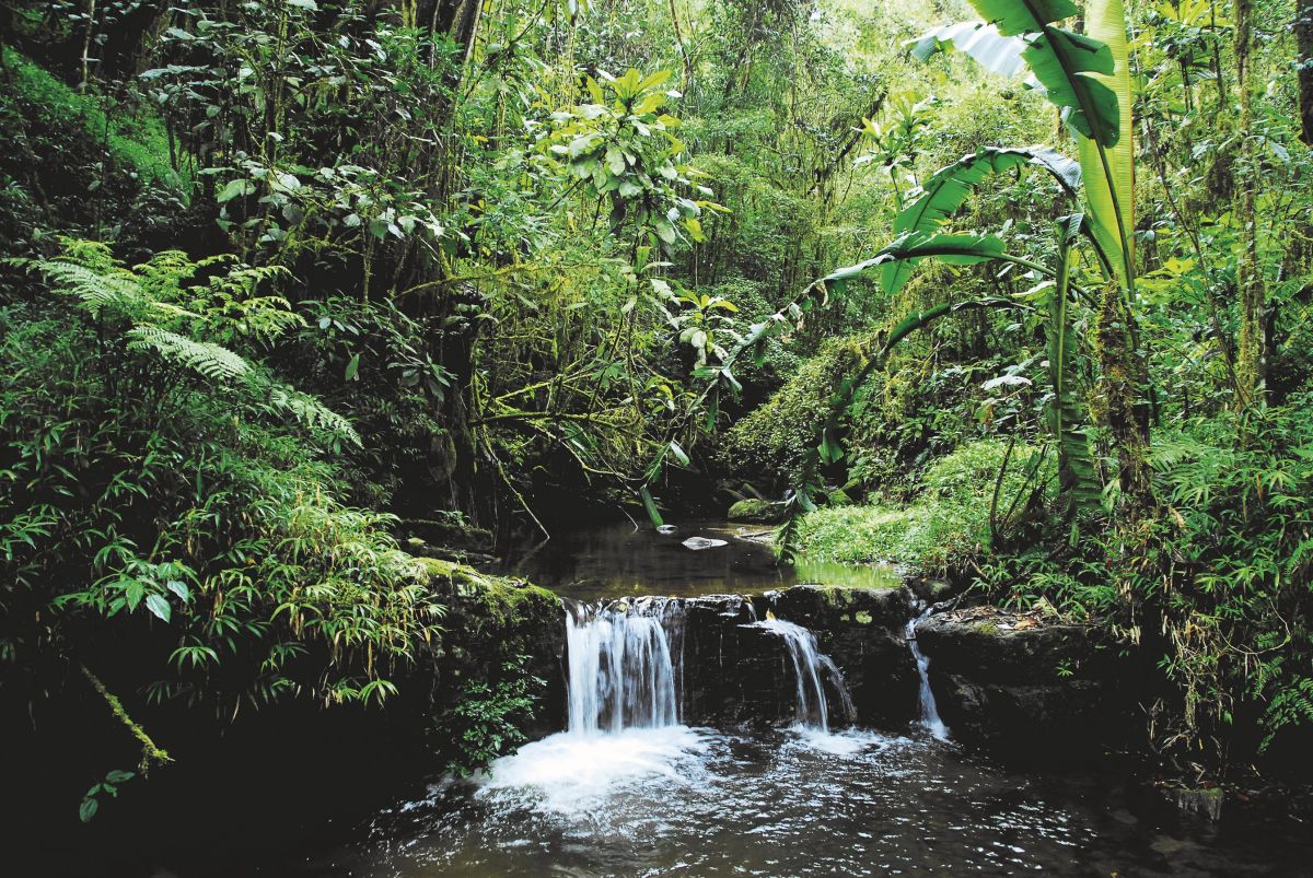 Ranomafana