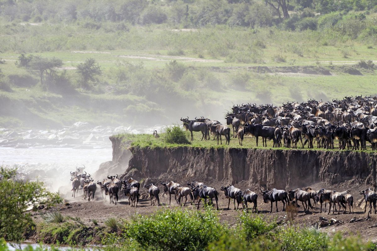 Nördliche Serengeti
