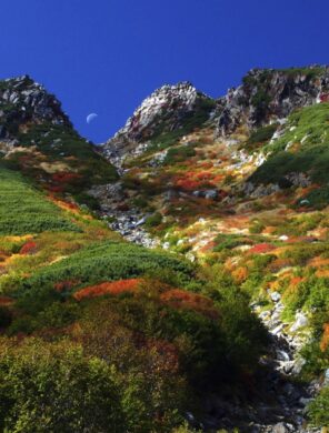 Herbstlaubfärbung am Mt.Ontake (3067m)