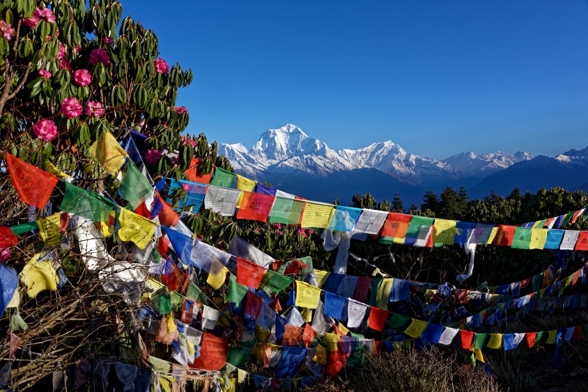 Farbkontraste auf dem Poon Hill (3210 m) in der Annapurna-Region