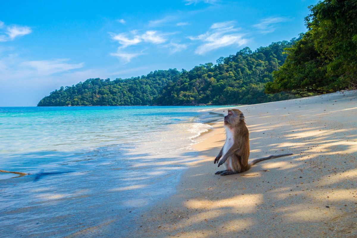 Urlaub im Mai Natur und Rundreise