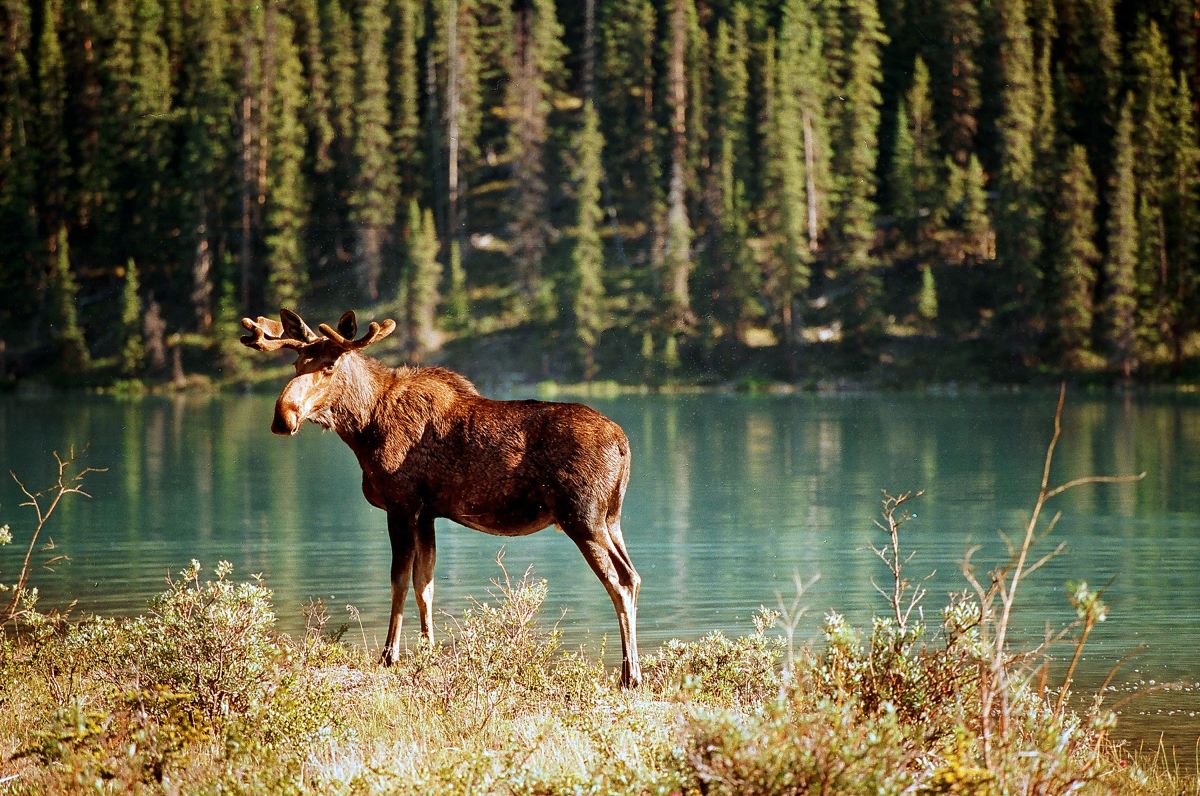 Kanada Gruppenreisen
