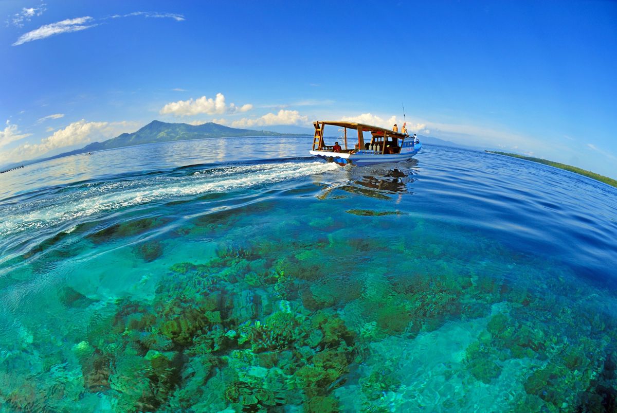 Blaues Meer und Korallen vor Nordsulawesi