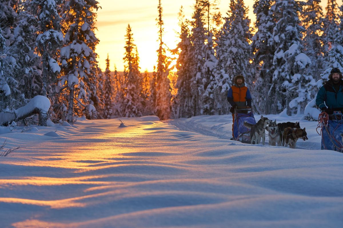 Nichts als Stille, Natur und Winterglück