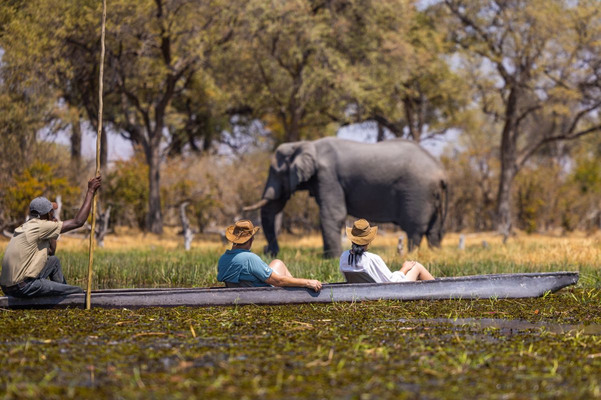 Fahrt im Mokoro im Moremi Botswana