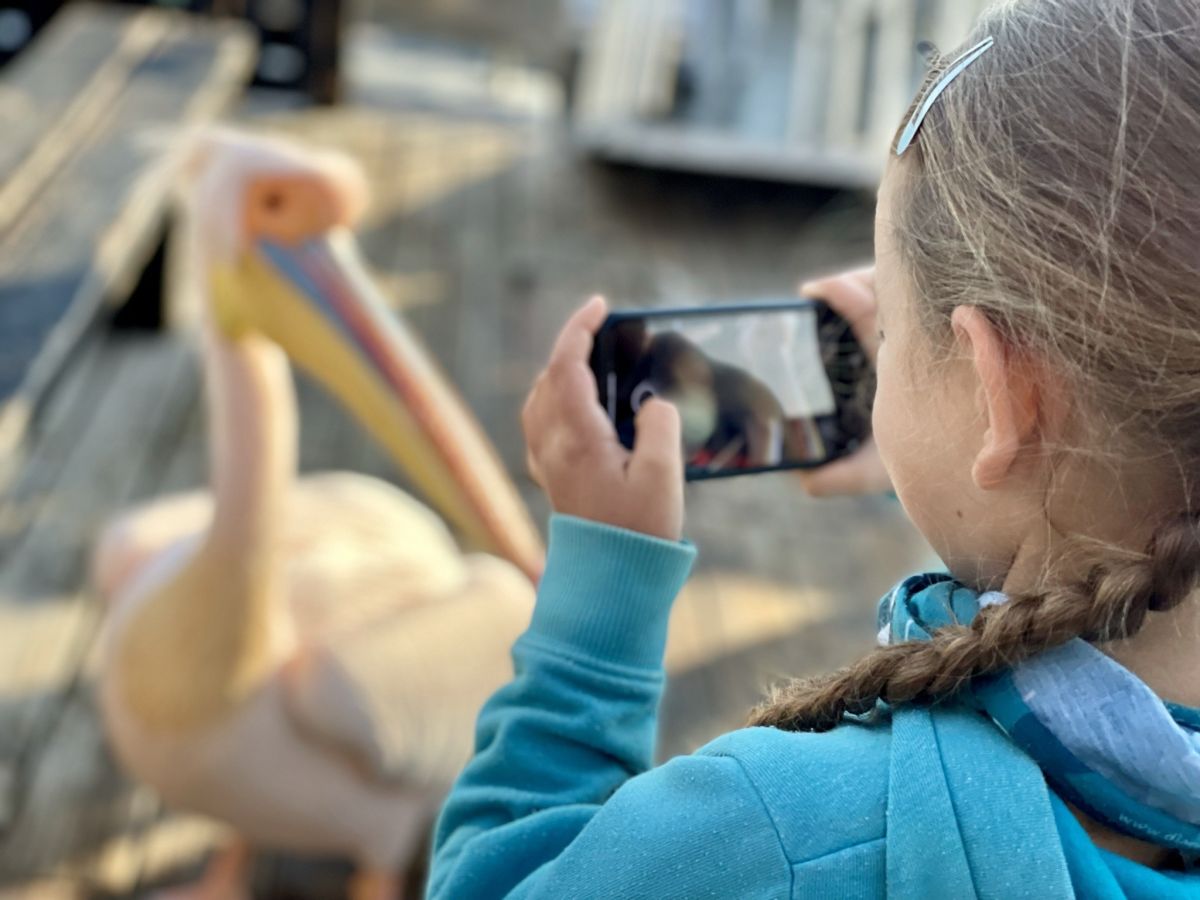 Safari mit Kindern in Afrika