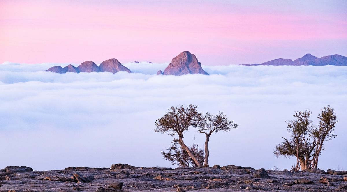 Jebel Shams Landschaft