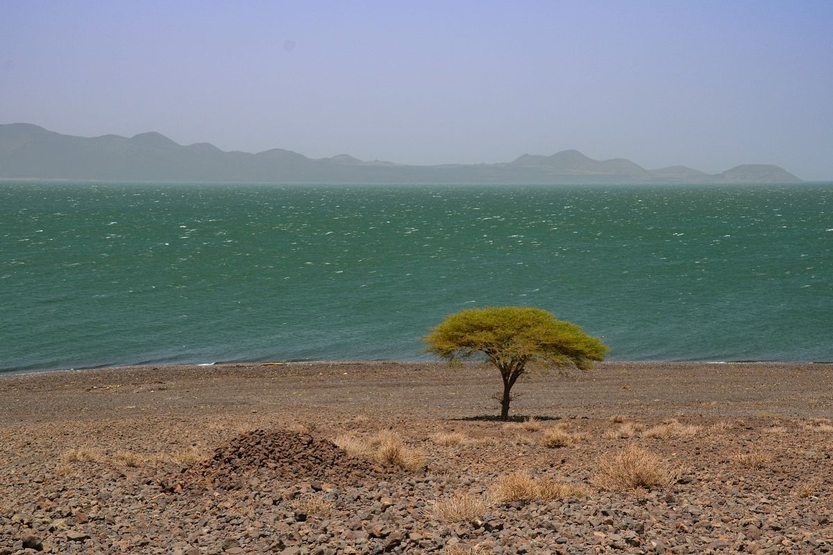 Am Lake Turkana