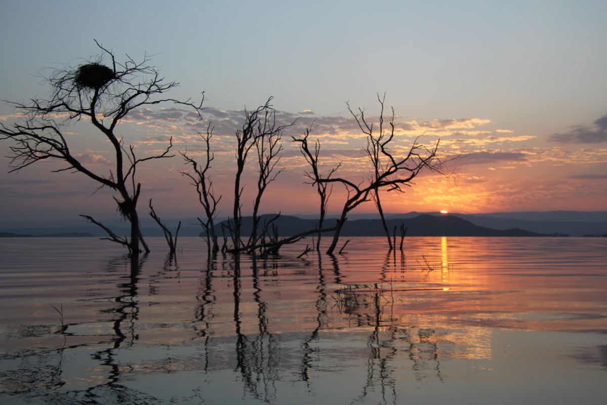 Unterwegs auf einer Sonderreise in Kenia