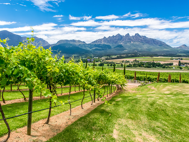 Natürlich erleben – Große Reise entlang der Garden Route