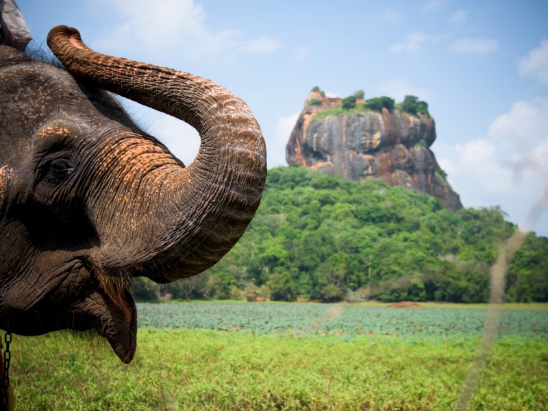 Natürlich mit Kindern – Sri Lanka als Familie individuell kennenlernen