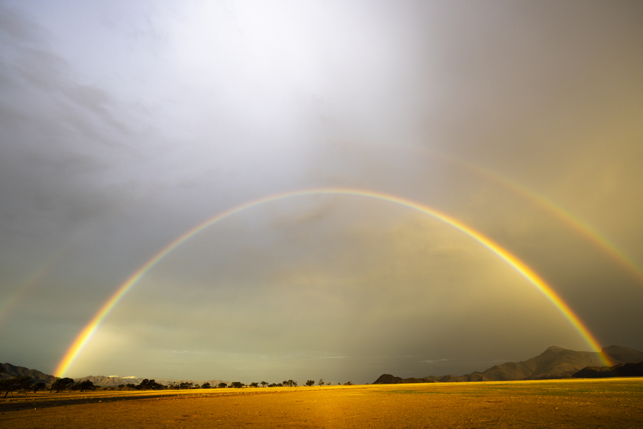 Grüne Landschaft in Namibia während der Regenzeit