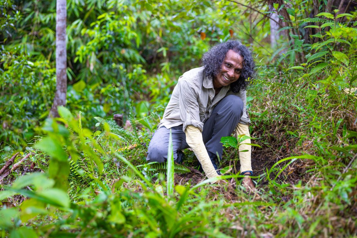 Baum pflanzen in Sri Lanka