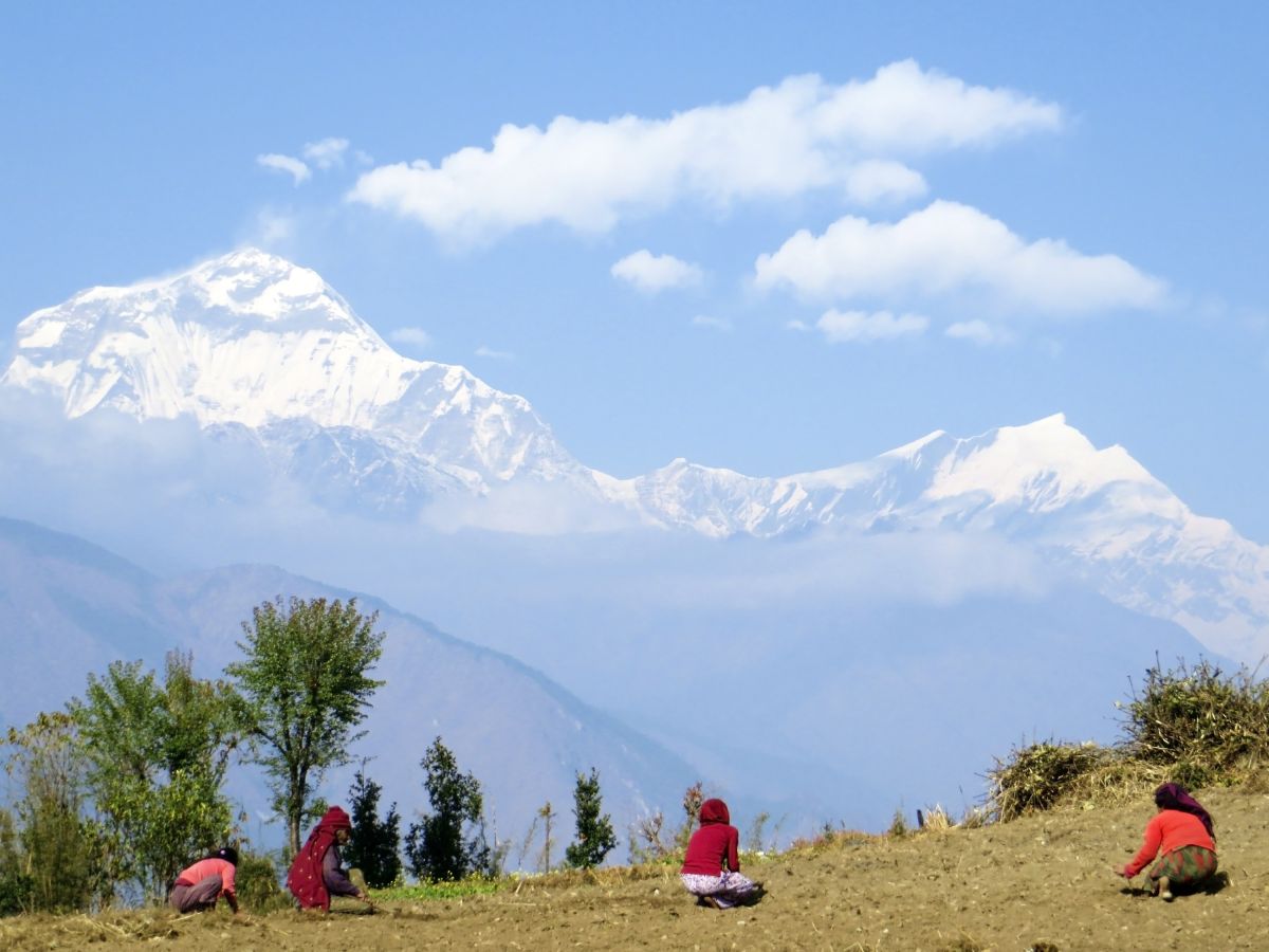 Dhaulagiri-Panorama in Shikha beim Aufstieg von Tatopani nach Ghorepani