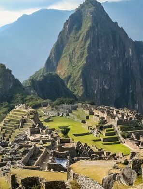 Lama in Machu Picchu