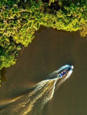 Amazonas_Beiboot_Regenwald_071_