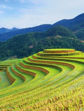 Vietnam