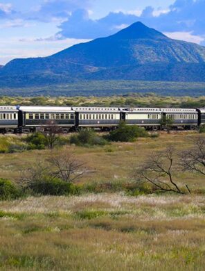 Ihr-Sonderzug-African-Explorer unterwgs in der Savanne