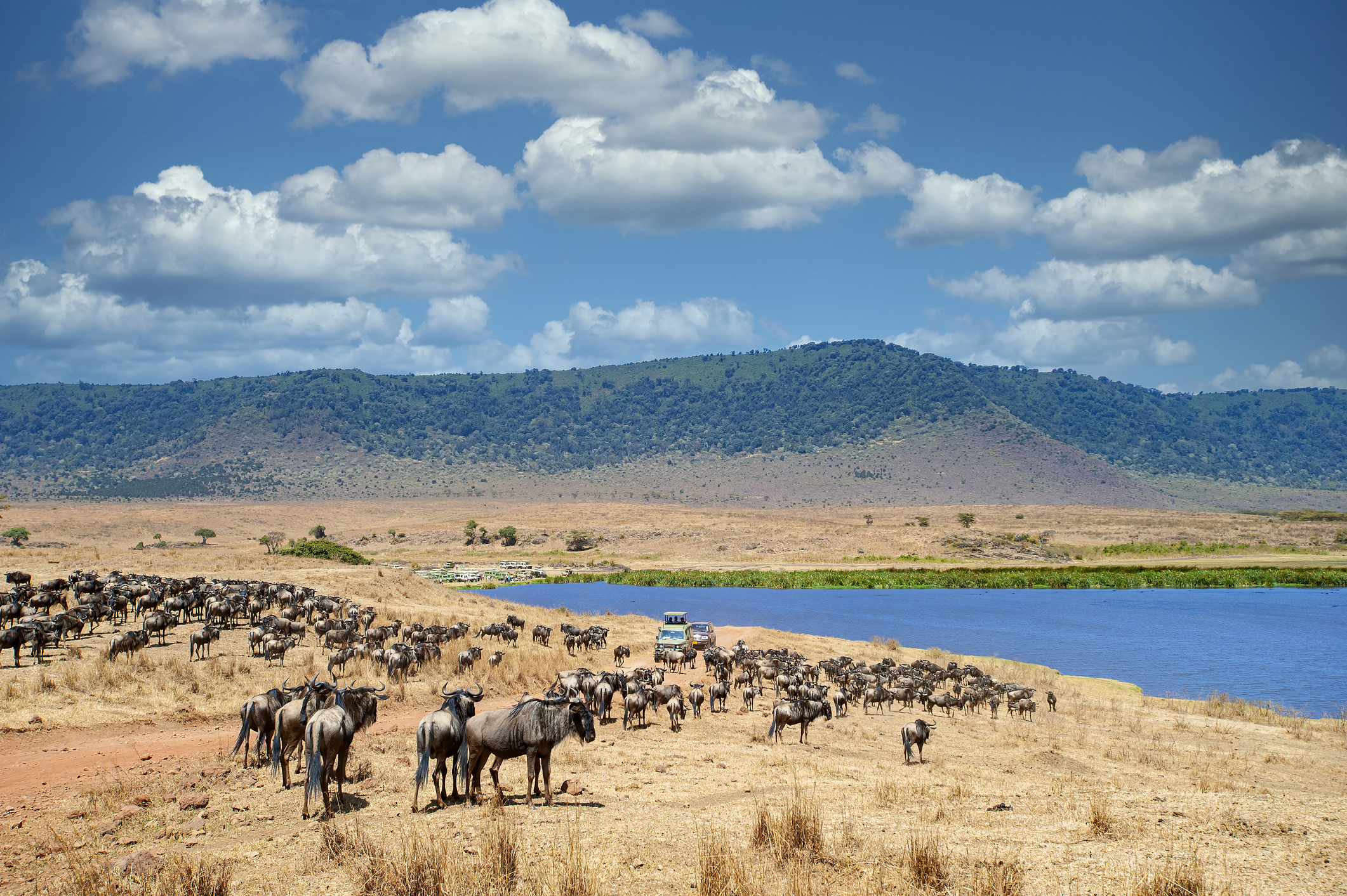 Safari-Fahrzeuge im Ngorongoro-Krater in Tansania