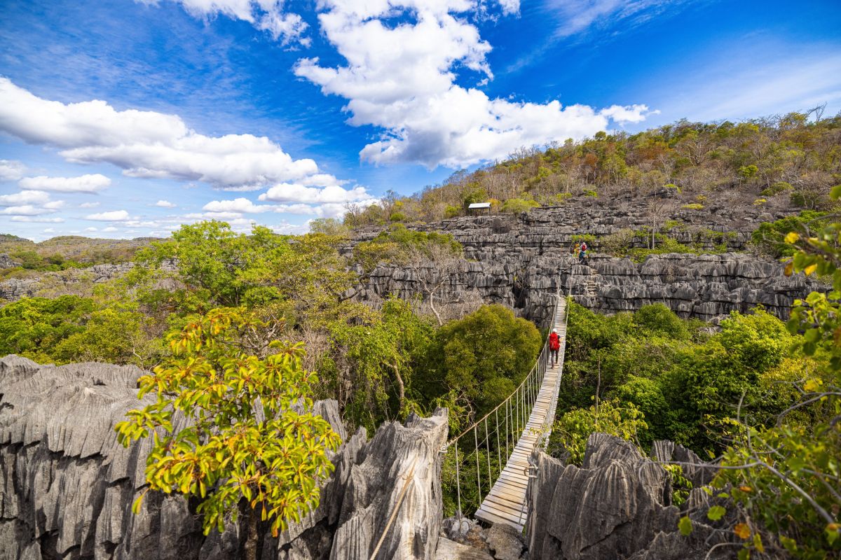 Hängebrücke im Ankarana-Nationalpark in Madagaskar – Ein Naturabenteuer