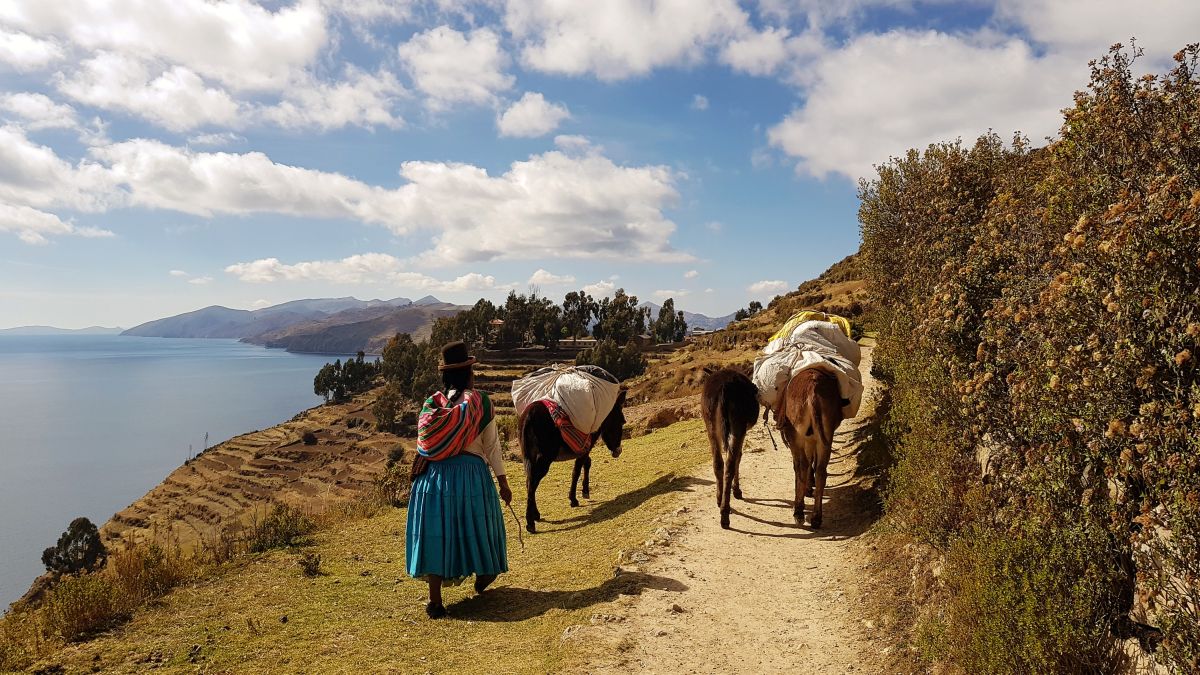Lebendige Szenen auf der Sonneninsel im Titicacasee, Bolivien
