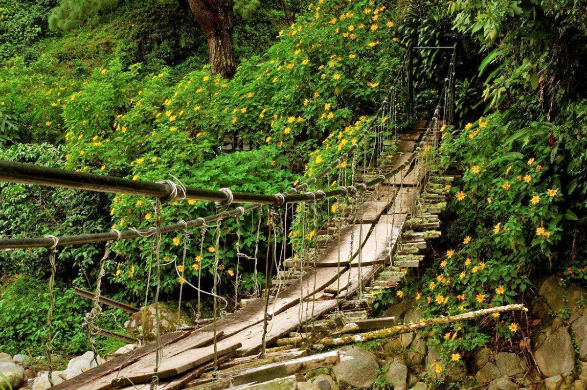 Hängebrücke El Valle – Ein entspannter Spaziergang in der Natur Panamas